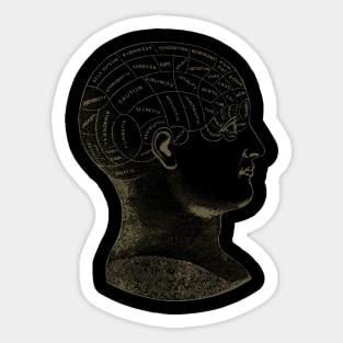 phrenology Sticker